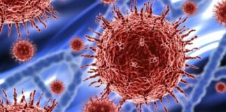 El TSJ autoriza las medidas de Sanidad relativas a la limitación de la circulación y de las reuniones sociales y familiares en la Comunidad Valenciana