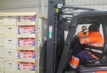 La Conselleria de Agricultura califica de ‘éxito’ el envío piloto de naranjas con tratamiento de frío en tránsito a India