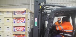 La Conselleria de Agricultura califica de ‘éxito’ el envío piloto de naranjas con tratamiento de frío en tránsito a India