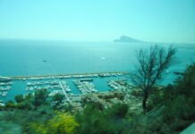 Transición Ecológica elabora en la Comunidad Valenciana una app que localiza las zonas marinas protegidas por la posidonia