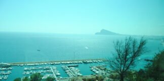 Transición Ecológica elabora en la Comunidad Valenciana una app que localiza las zonas marinas protegidas por la posidonia