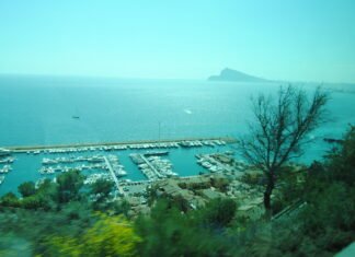 Transición Ecológica elabora en la Comunidad Valenciana una app que localiza las zonas marinas protegidas por la posidonia