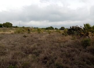 Murcia no apoya la propuesta del plan estratégico agrícola de la PAC presentada por el Ministerio del gobierno de España