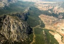 Medio Ambiente de Murcia inicia la recuperación de hábitats degradados con semillas mediante el sistema tradicional