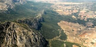 Medio Ambiente de Murcia inicia la recuperación de hábitats degradados con semillas mediante el sistema tradicional