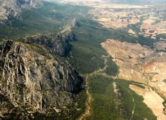 Murcia presenta dos proyectos forestales para implementar el Plan Nacional de Adaptación al Cambio Climático 2021-2030