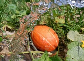 Los fondos europeos han proporcionado ayudas a más de 5.000 explotaciones agrarias de la Comunidad Valenciana