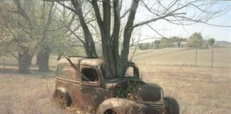 Emisión 0 – EURO 7