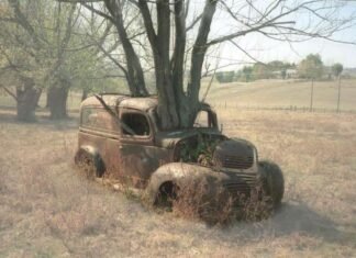 Emisión 0 – EURO 7