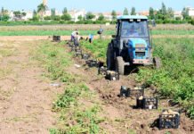 Castilla-La Mancha pide al gobierno de España ayudas urgentes para los pueblos afectados por la gota fría la pasada semana