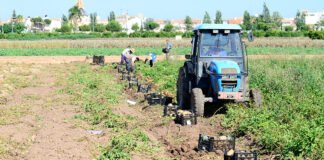 Castilla-La Mancha pide al gobierno de España ayudas urgentes para los pueblos afectados por la gota fría la pasada semana