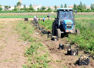 Castilla-La Mancha pide al gobierno de España ayudas urgentes para los pueblos afectados por la gota fría la pasada semana