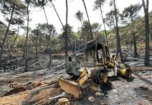 Moreno anuncia que pedirá al Gobierno de España la declaración de zona catastrófica para Sierra Bermeja