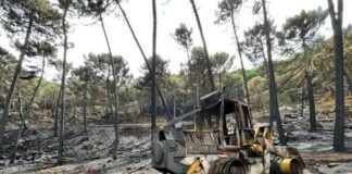 Moreno anuncia que pedirá al Gobierno de España la declaración de zona catastrófica para Sierra Bermeja