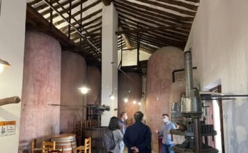 Las Rutas del Vino de Castilla-La Mancha quieren ser potencial turístico y económico para las cinco provincias de la región