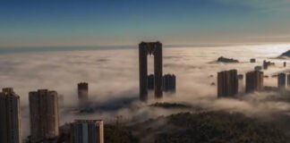 Del Trile a la Trola y tiro porque me toca. ¡Menudo BenidormFest tenemos liado con el Tecnohito!