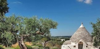 Emergencia Climática anima a convertirse en ‘outfluencers’ como personas embajadoras reales contra el cambio climático