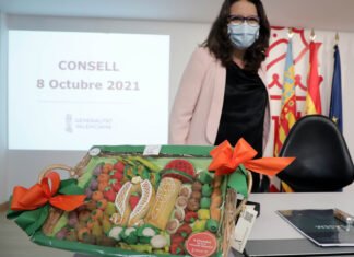 Oltra: «Para el Consell la salud de los valencianos es un derecho y no un negocio»