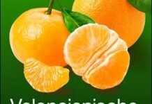 Economía y Agricultura se alían un año más para fomentar el consumo de naranjas y clementinas valencianas en Alemania