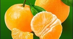 Economía y Agricultura se alían un año más para fomentar el consumo de naranjas y clementinas valencianas en Alemania