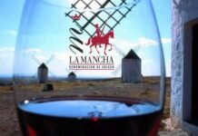 Castilla-La Mancha bate rércord de exportaciones de vino y mosto durante los dos años de pandemia