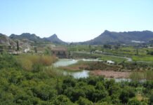 El Valle de Ricote en Murcia busca su declaración como Patrimonio Agrícola Mundial
