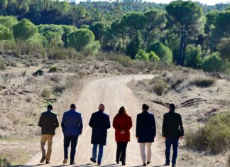 El nuevo plan de actuación en caminos forestales invertirá casi 18.000.000 de euros en toda Andalucía