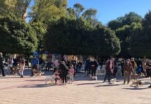 El encuento «Mi familia, Mi mascota» celebrado en Alicante, se saldó con un grandioso éxito