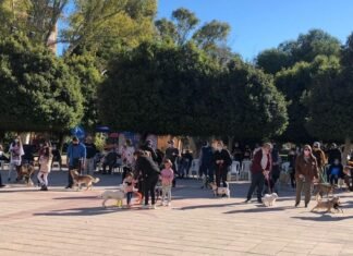 El encuento «Mi familia, Mi mascota» celebrado en Alicante, se saldó con un grandioso éxito