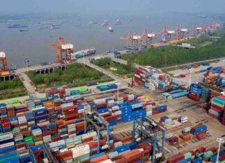 Las exportaciones murcianas a China crecieron un 12 por ciento entre enero y octubre de 2021