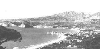 Los plenarios de Benidorm y sus «ganaderías»