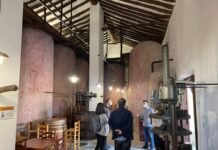 La Comunitat Valenciana recibe 2,3 millones de euros para las ayudas a inversiones de la Intervención Sectorial Vitivinícola para 2025 y 2026