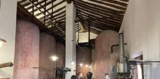 La Comunitat Valenciana recibe 2,3 millones de euros para las ayudas a inversiones de la Intervención Sectorial Vitivinícola para 2025 y 2026