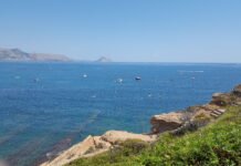 Transición Ecológica pondrá en marcha el 1 de junio el servicio marítimo de protección de la posidonia en la Comunidad Valenciana