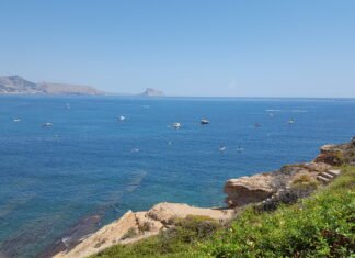Transición Ecológica pondrá en marcha el 1 de junio el servicio marítimo de protección de la posidonia en la Comunidad Valenciana