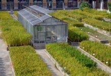 Agricultura destina 1.760.000 euros a proteger los viveros valencianos frente a las plagas