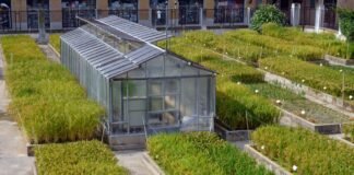 Agricultura destina 1.760.000 euros a proteger los viveros valencianos frente a las plagas