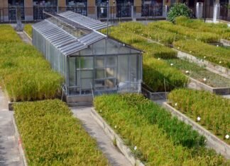 Agricultura destina 1.760.000 euros a proteger los viveros valencianos frente a las plagas