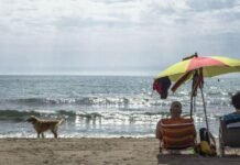 Alicante licita los servicios para la playa de perros en Agua Amarga