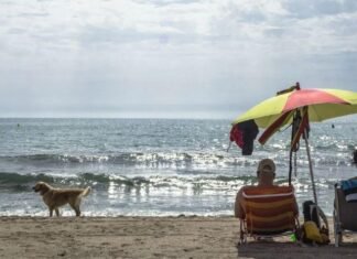 Alicante licita los servicios para la playa de perros en Agua Amarga