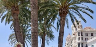 Alicante rinde homenaje a sus mujeres Belleas con esculturas florales en la Plaza del Mar de la ciudad en el arranque de las Hogueras 2022