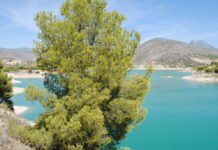 El Consell declara de emergencia los trabajos para controlar el brote de botulismo en zonas húmedas protegidas del sur de Alicante