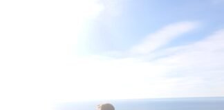 “Que no te tengas que arrepentir nunca de no haber hecho algo”. Por Daniel Lozano García (20)