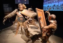 Los gladiadores del Coliseo se baten en el MARQ de Alicante.