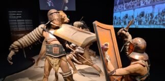 Los gladiadores del Coliseo se baten en el MARQ de Alicante.
