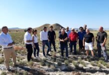 Murcia promueve el cultivo alternativo de plantas aromáticas en las tierras de secano del Noroeste y pedanías altas de Lorca
