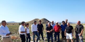 Murcia promueve el cultivo alternativo de plantas aromáticas en las tierras de secano del Noroeste y pedanías altas de Lorca