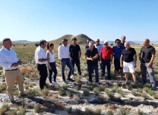 Murcia promueve el cultivo alternativo de plantas aromáticas en las tierras de secano del Noroeste y pedanías altas de Lorca