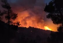 El gobierno valenciano esperará al 29 de agosto para aprobar ayudas a los afectados por los incendios forestales