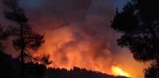 Los bomberos de Alicante se unen a la extinción de los incendios forestales de la Vall d´Ebo